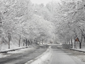 농원 가는 도로에서..