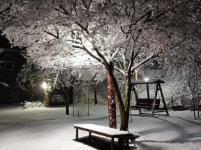폭설이 내린 농원의 밤