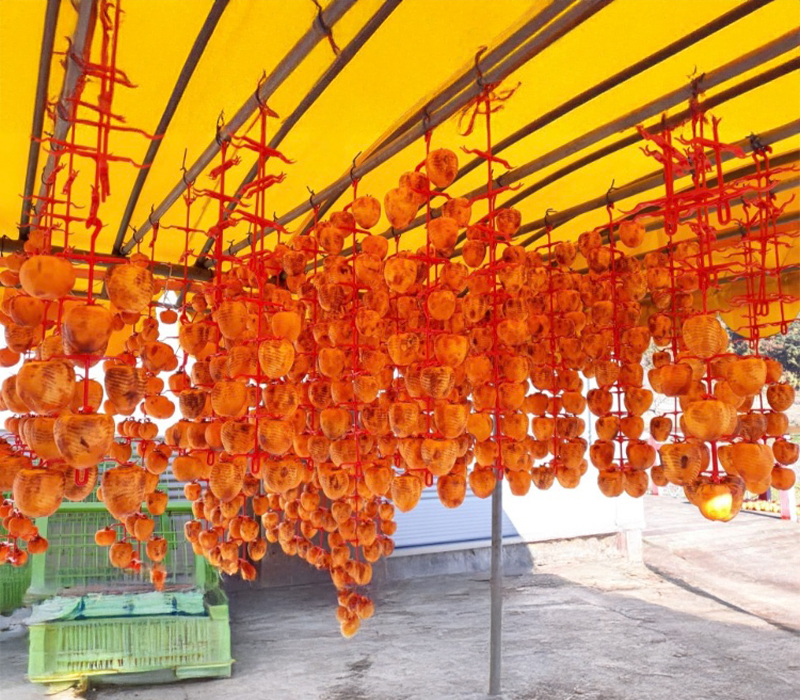 자연바람 반건식 곶감