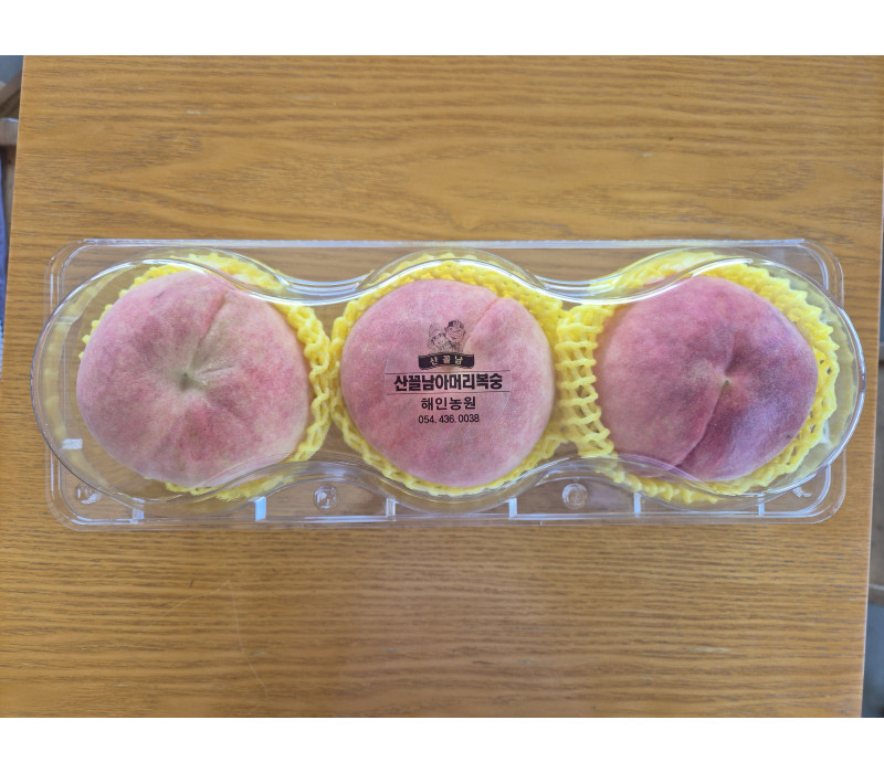 산꼴남아머리복숭아